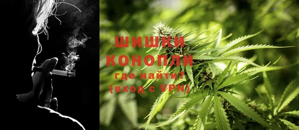 ГАЛЛЮЦИНОГЕННЫЕ ГРИБЫ Алзамай